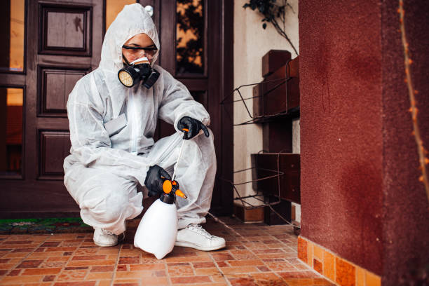 Reliable Wasp Removal contractor in Saco, ME by Show Me Pest Control